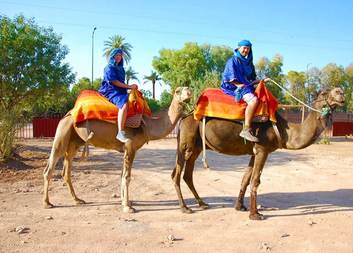 Marrakech Camel Trek in the Palm Grove